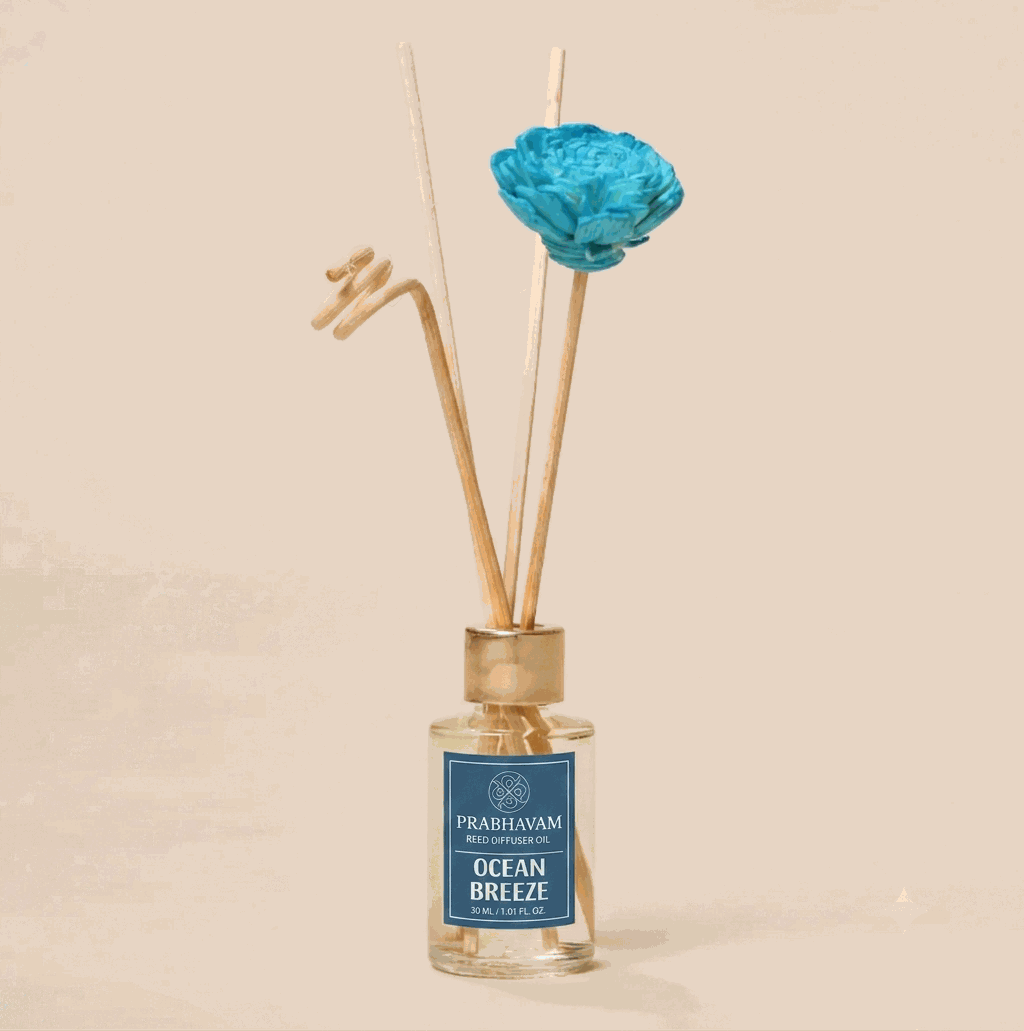 Reed Diffuser Discovery Pack – 30 ML | Ocean Breeze Fragrance | Eco-Friendly with Natural Rattan Sticks thumbnail